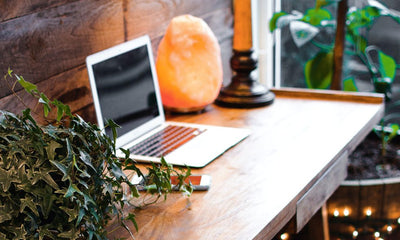 Plants make you smarter! Here's why you need them in your office