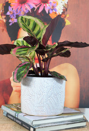 Ceramic palm leaf pot
