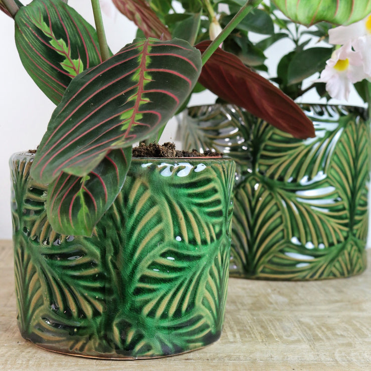 Emerald leaf pot