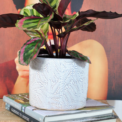 Ceramic palm leaf pot